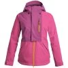 Airblaster Sassy Beast Jacket - Women's -Airblaster Sales Shop airblaster sassy beast jacket women s 0